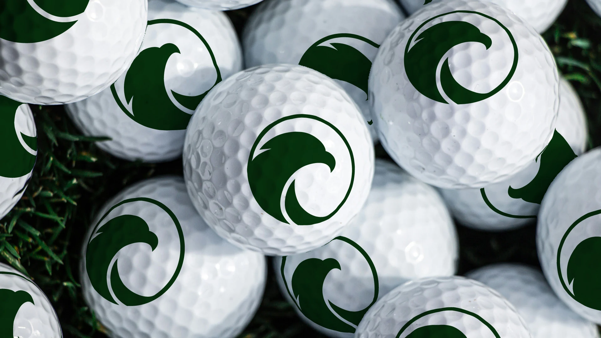 Eagle Golfferðir golfboltar